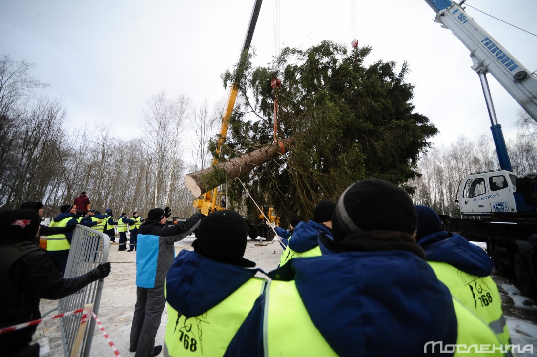 BEL_3476