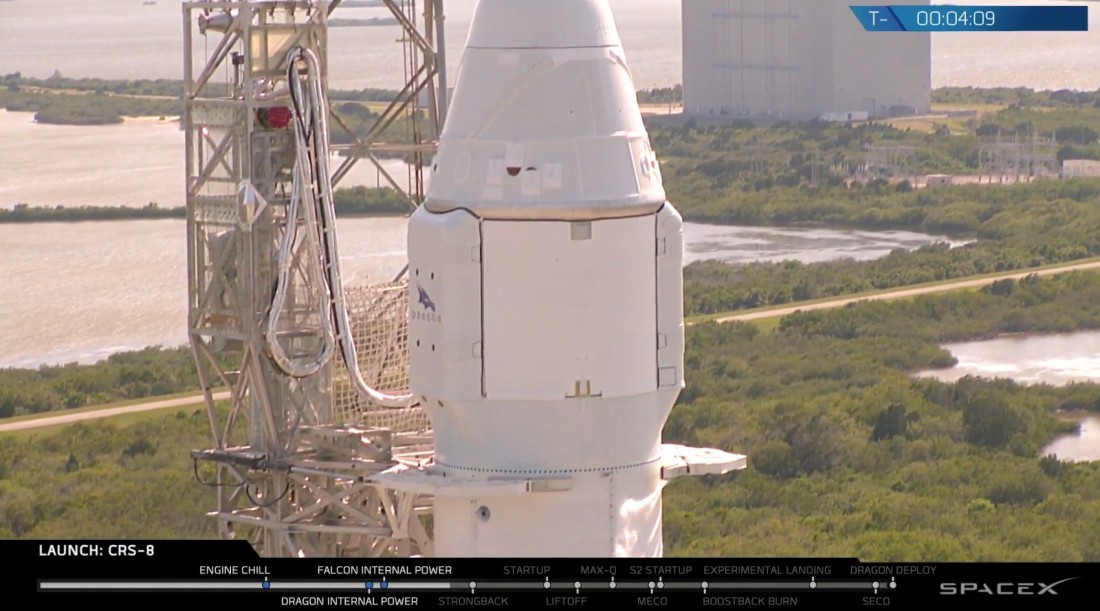dragon3