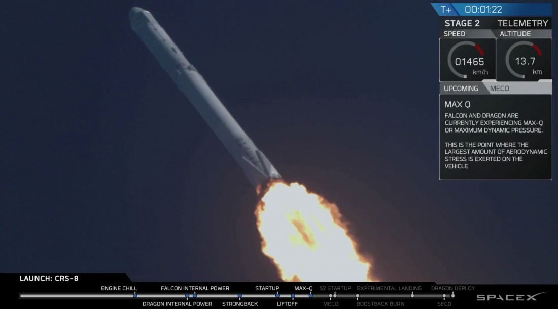 dragon6