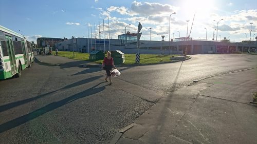 DSC_0347
