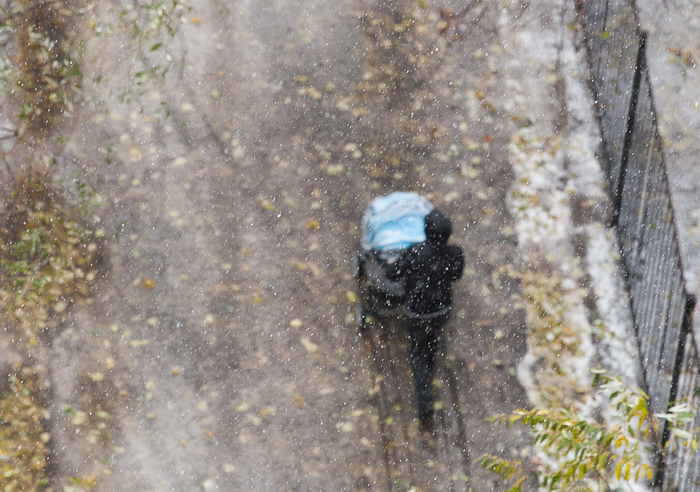 BEL_9118