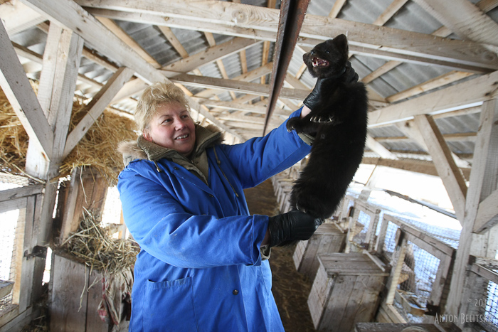 BEL_5351