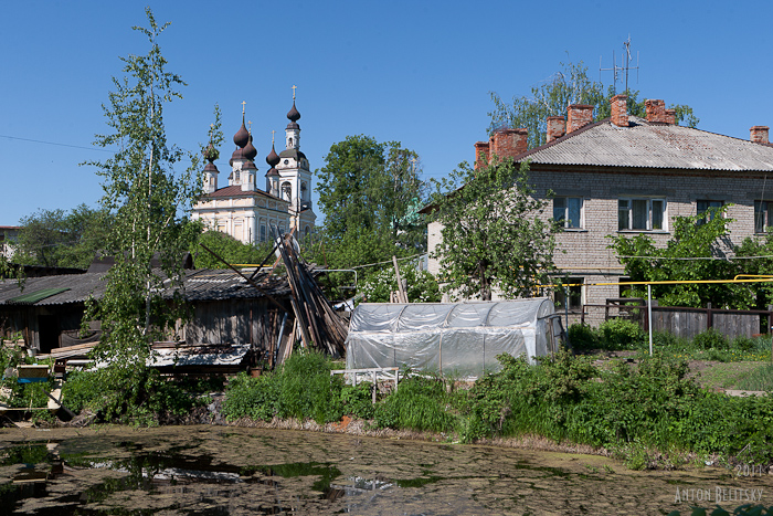 BEL_8663